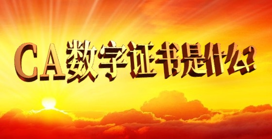 CA數(shù)字證書是什么？